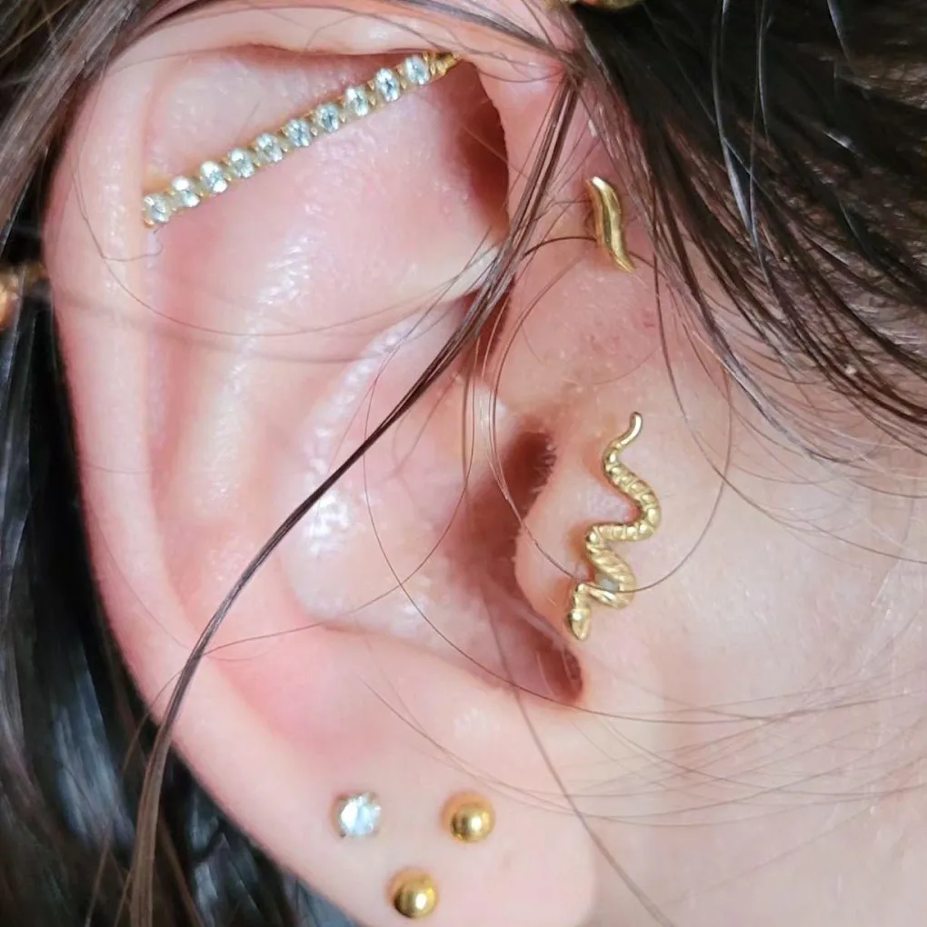 Piercings industriel, tragus et lobe à Carnyx Piercing